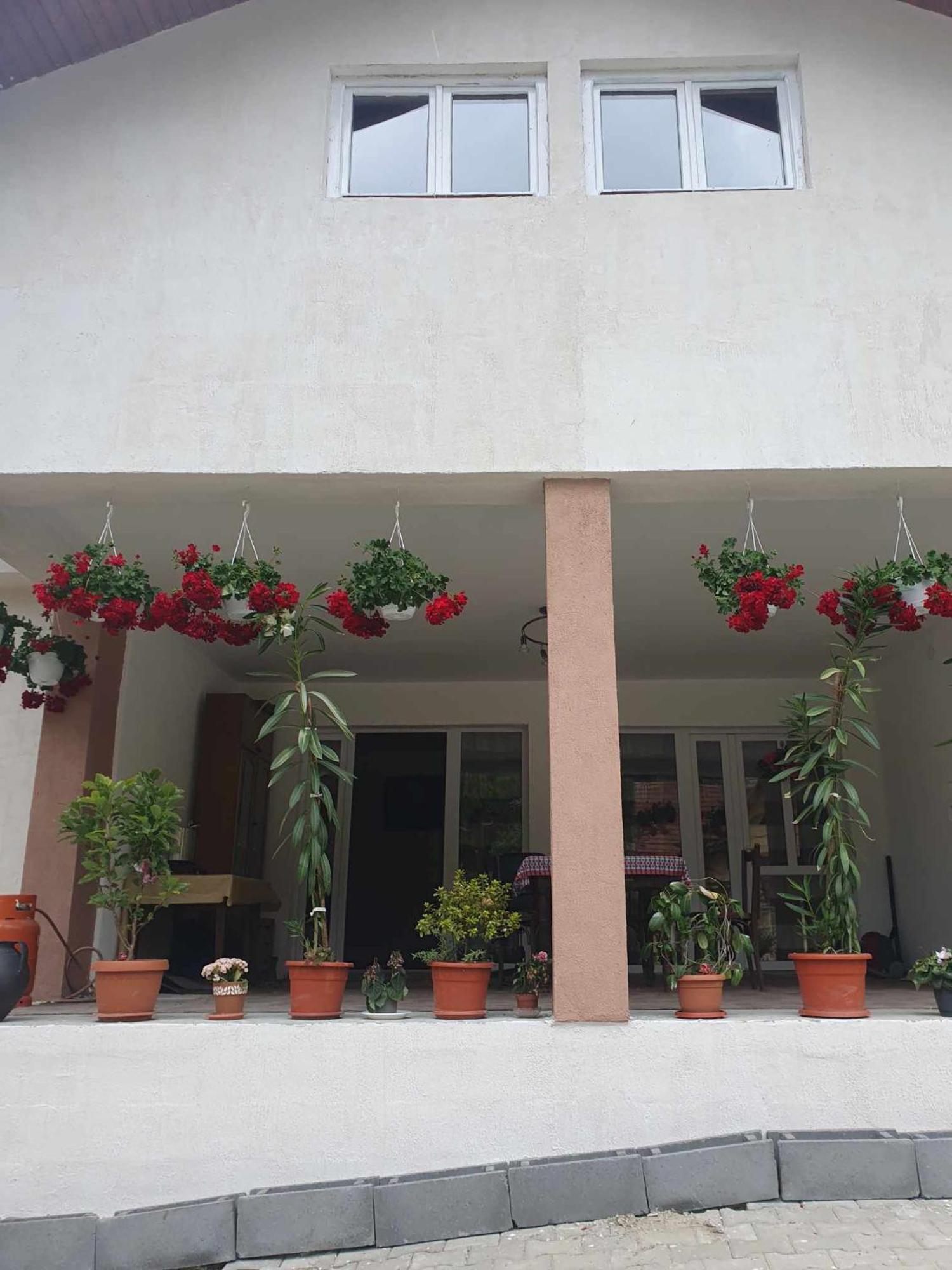 Casa Maksai Hotel Szováta Kültér fotó